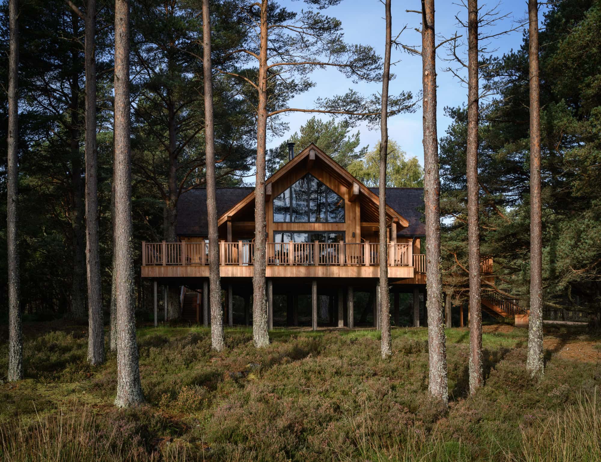 Modern wooden house elevated among tall pine trees in a forest setting.